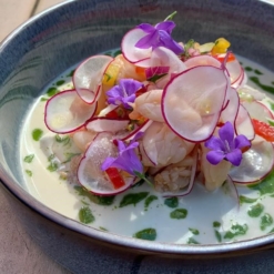 ceviche