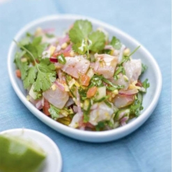ceviche ceviche