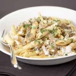 Penne forestière Penne forestière