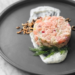 Tartare saumon scandinave Tartare saumon scandinave