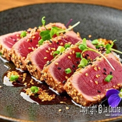 tataki tataki